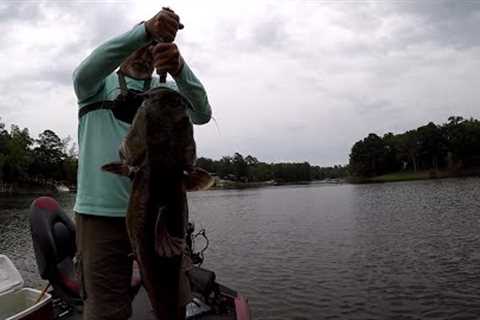 Big Fish Surprise, Highlights Lake Murray