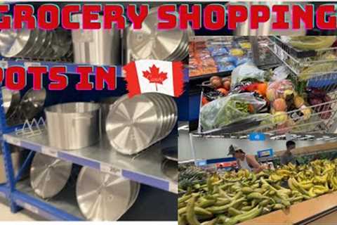 Canada Vlog: Grocery Shopping + Cost of Big Pots in Canada + Reviews || Come to Canada with Your Big