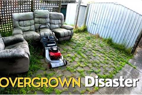I was Tired of Looking at my Neighbour's Neglected Yard !!!