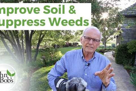 Weed Control in Garden | Best Gardening Tips for Fewer Weeds
