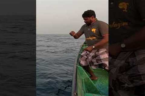 Catching 15 Kg Tuna Fish in the Deep Sea #fish #fishing #fishingvideo