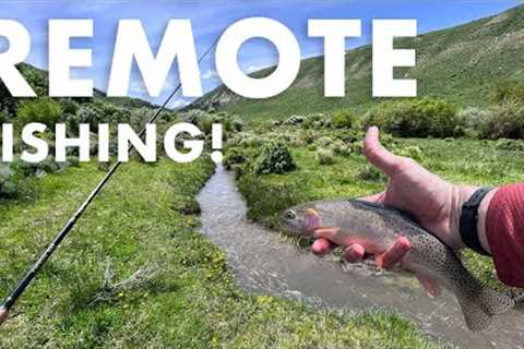 Catching Native Trout in This Beautiful Mountain Creek (Tenkara Fly Fishing)