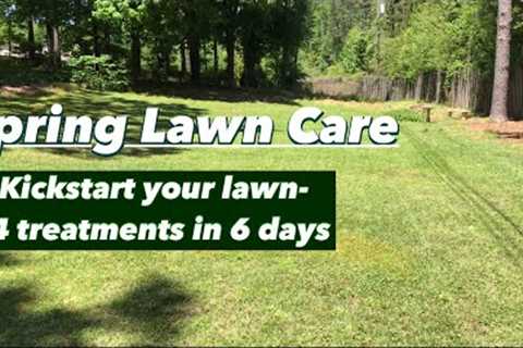 Spring Lawn Treatments for Centipede &amp; St. Augustine grass | Walmart lawn fertilizers