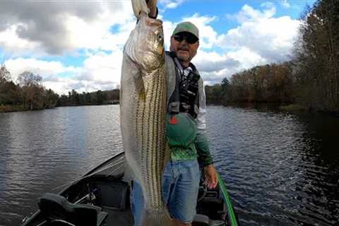 Oak Hollow Lake Fishing 11-12-2022