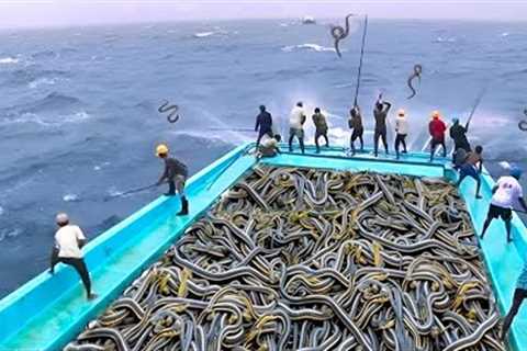 Fishing Boat Discovers Something TERRIFY in the Sea That SHOCKS the Whole World!