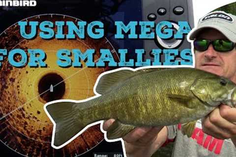 Finding Giant Smallmouth on Rainy Lake