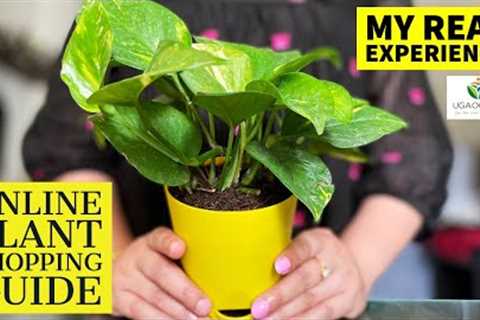 HOW TO BUY PLANTS ONLINE | MY ONLINE PLANT SHOPPING EXPERIENCE | SELF WATERING POTS