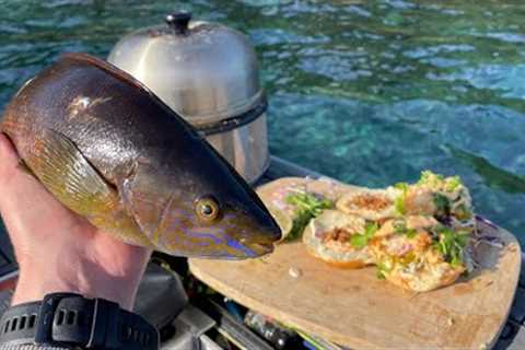 VEGETARIAN FISH!? Catch &amp; Cook (Spearfishing) Volcanic Island