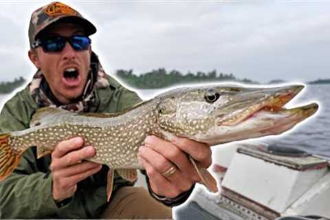 Light Line Pike Fishing Challenge | 1v1 Try to Keep your LURES!