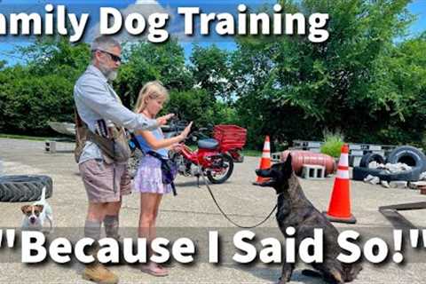 Old Fashioned Dog Training Advice | Do It Because I Said So