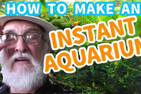 How to Setup A Natural Aquarium | Low Maintenance Quick and Easy