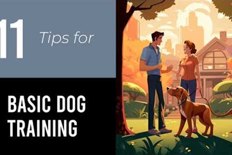 11 Tips For Basic Dog Training