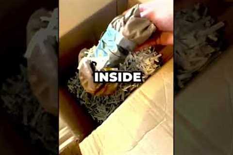 Weirdest Deep Web Mystery Box #shorts