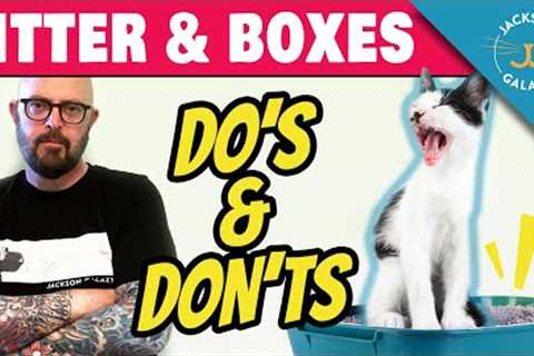 YOU’RE DOING CAT LITTER WRONG &amp; Here’s Why!