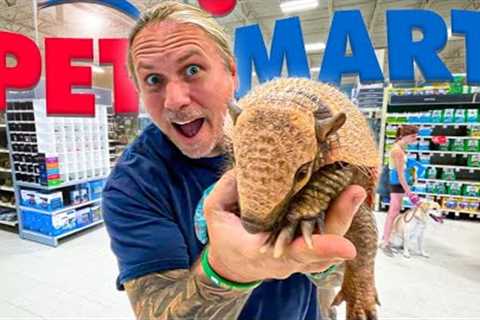 TAKING MY ARMADILLO TO PETSMART!! | BRIAN BARCZYK