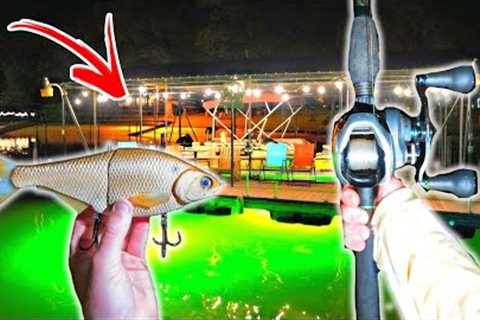 These DOCK Lights Were LOADED With Big Fish (Surprising Catch)