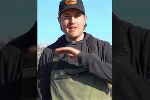 Struggling with Picky Trout? Watch THIS! — Fly Fishing Tip of the Week