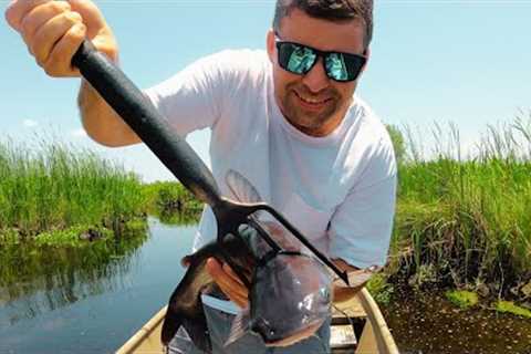 Hand Spearing Fish (Catch Clean &amp; Cook) ADVENTURE