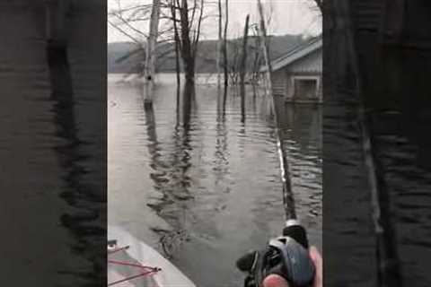 I Went Topwater Fishing At A FLOODED LAKE!