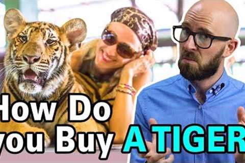 How are Rich People Able to Buy Exotic Pets Like Tigers?