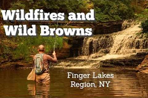 Amazing Dry Fly Takes - Fly Fishing the Finger Lakes Region, NY