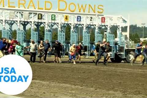 Hilarious grandparents face off and face plant during horse track race | USA TODAY