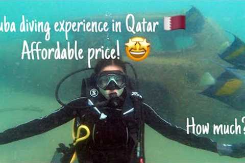 Scuba diving experience in Qatar | sealine | 2023 | explore | scuba diving
