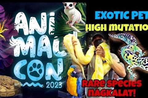 ANIMALCON 2023|EXOTIC PETS AND REPTILES|HIGH MUTATION|RARE SPECIES GRABE ANG DAMING NAGKALAT!!😱😱😱