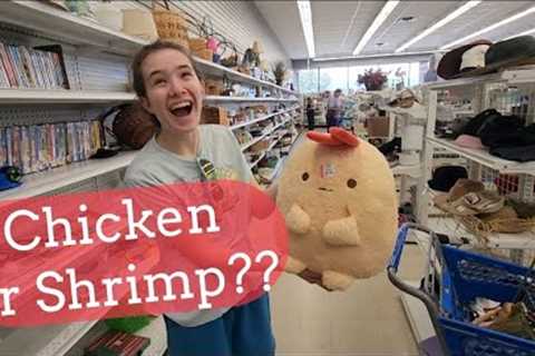 What Is That? - Shop Along With Me - Goodwill Thrift Store - Resiners Airless Machine How To