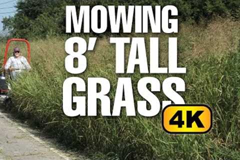 ALTOZ TRX 766 | Mowing 8' Tall Grass in 4K | MOWING TEST