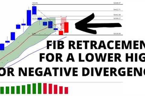 The Stock Markets Biggest Winners Being Downgraded As the Stock Market forms a Top - S&amp;P 500..
