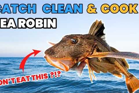 Catch Clean Cook (Taste Testing the Sea Robin Trash Fish)