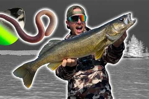 Fishing Night Crawler Harness Technique for MONSTER WALLEYE!
