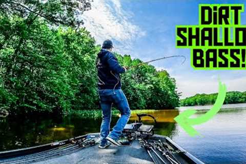 SMALL LAKE is LOADED With AGGRESSIVE BASS!! || Topwater Fishing