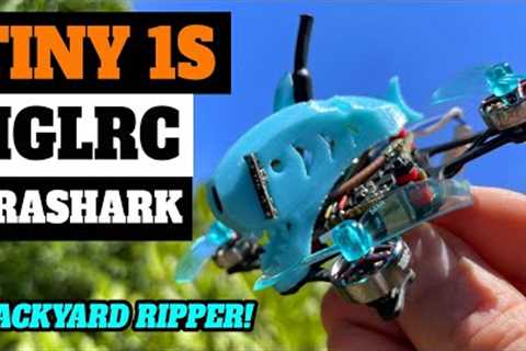 Backyard Ripper!!! - HGLRC Drashark aka Babyshark 16 1S Micro Brushless - Review &amp; Flights