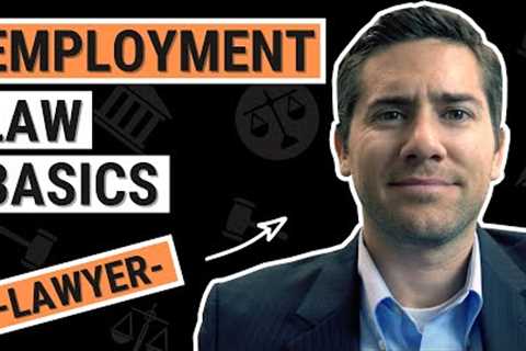 Employment Law for Business Owners, Managers &amp; HR - Avoid Getting Sued