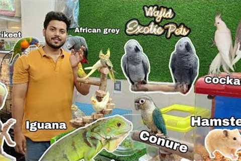 Wajid Exotic Pet's Jogeshwari west