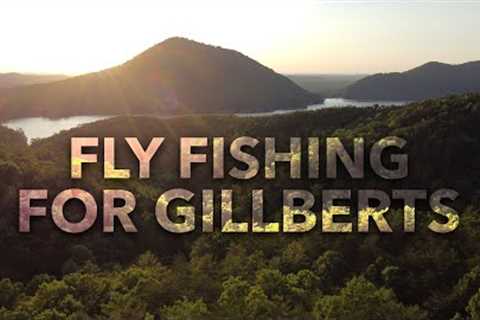 FLY FISHING FOR BLUEGILL IS SO MUCH FUN