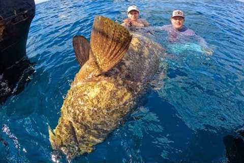 This fish was bigger than 2 PEOPLE!!! {Catch Clean Cook} COCONUT CRUSTED FISH FILLET