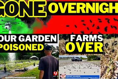 WARNING ⚠️ Farms Poisoned‼️ Infestations HAPPENING NOW | Prepping SHTF