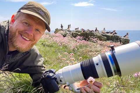 Puffins on Lunga | Bird Photography | Gear Selection &amp; Tips
