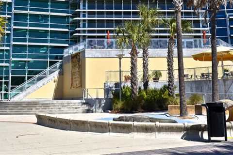 Tampa Bay History: Facts You Didn't know