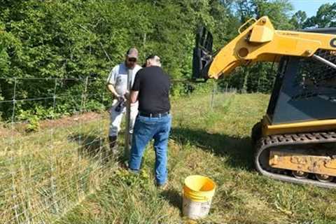 Finally! Some help on the farm! Fencing time!