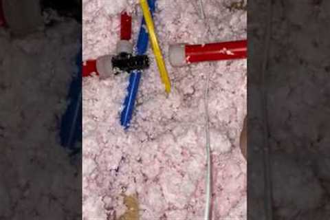 PEX water pipe fitting blown apart. #plumber #plumbing #fyp #leak #repair