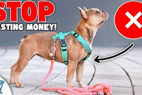 Don't Waste Your Money On These 9 Dog Training Tools
