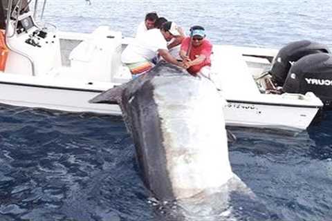 Amazing Level Giant Swordfish Fishing skill - Big Catch Swordfish &amp; Black Marlin Strongest The..