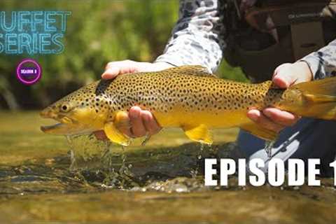 Sight Fishing the Green River - Ep.1 Season 3 Buffet Series - Fly Fishing Adventure Film!