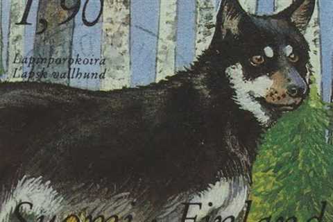 Collecting Stamps From Finland