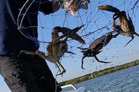 Catching MUD CRABS | Cooking PRAWNS | SEAFOOD BOUNTY