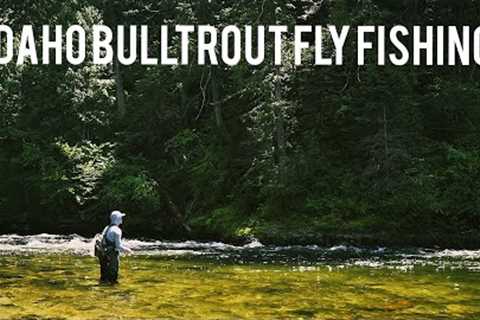 Fishing for one of Idaho's most ELUSIVE fish | Bull Trout Fly-Fishing